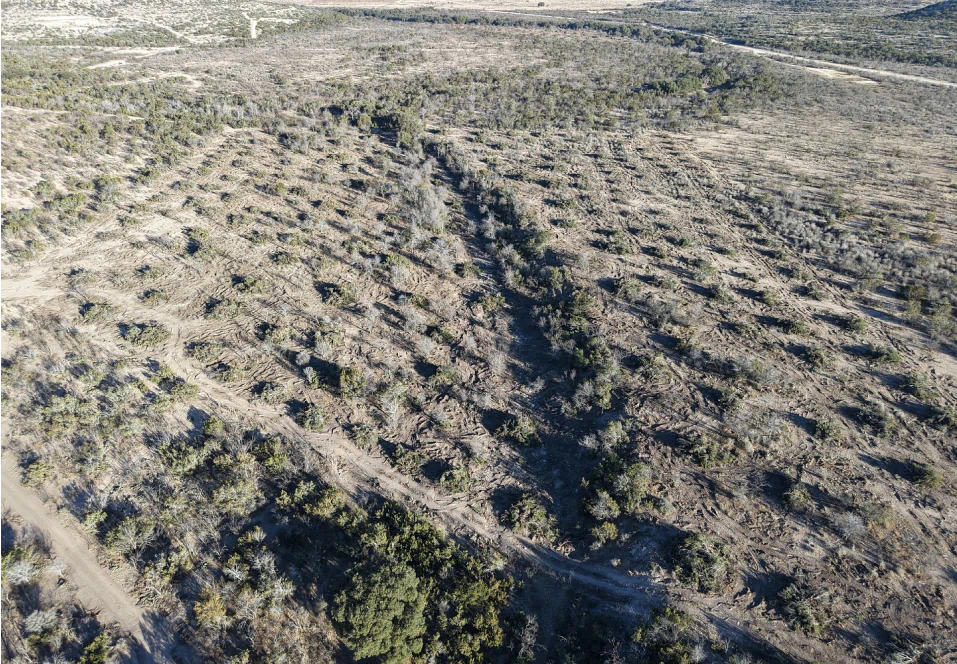 Grubbing & Land Clearing 2