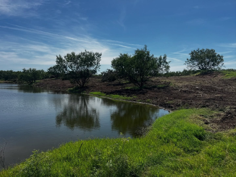4 Cleared Dense Mesquite, San Angelo, TX